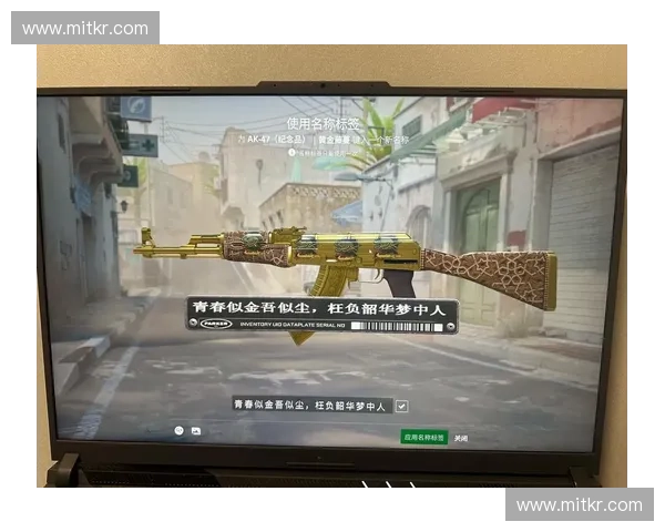 CSGO玩家如何通过屯贴纸提升游戏收藏价值及投资潜力